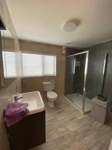 uma casa de banho com um WC, um lavatório e um chuveiro em Luxury holiday rental with sea views on the Wild Atlantic Way em Tralee