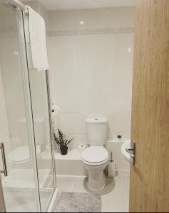 a white bathroom with a toilet and a shower at The Lincoln Apartment 2023 NEW-BUILD in Oxford