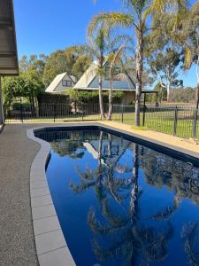 a swimming pool with blue water and palm trees at Murray River Spa Retreat in Echuca