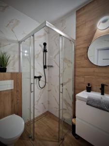a bathroom with a shower and a toilet and a sink at Bulwary Mszańskie - Pokoje in Mszana Dolna