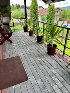 a patio with potted plants and a bench at Pensiunea Longocampo in Câmpulung