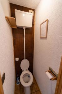 a small bathroom with a toilet in a room at Les Saisies appart 1 chambre au pied des pistes in Les Saisies +15 photos