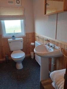 a bathroom with a toilet and a sink at Lochhill Stable Lodge in Castle Douglas