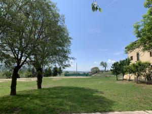 dwa drzewa na trawiastym polu z budynkiem w obiekcie Casa Vella del Cuní w mieście Roda del Ter