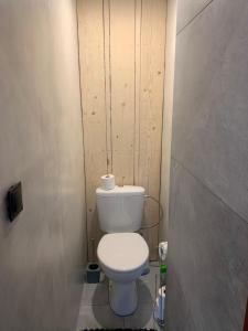 a bathroom with a white toilet in a room at Penzión Astoria in ľubochňa