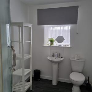 a bathroom with a toilet and a sink and a window at Killean Farmhouse Cottages 