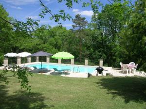 - Piscina con sombrilla verde, sillas y parrilla en Totally Secluded Stone Cottage with Private Pool, 2 acres of Garden and Woodland, en Paussac-et-Saint-Vivien