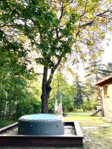 una gran bañera sentada frente a un árbol en Erdősor út Vendégház, en Piliscsaba