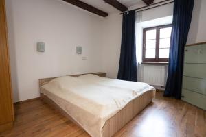 Postel nebo postele na pokoji v ubytování Apartments 3 in the historic part of Znojmo