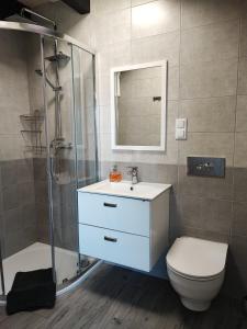 ein Badezimmer mit Toilette, Waschbecken und Dusche in der Unterkunft Słoneczny Raj Apartamenty Domki apartamentowe in Sarbinowo + 13 Fotos