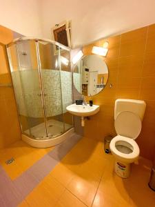 a bathroom with a shower and a toilet and a sink at Centrum Hostel in Pécs