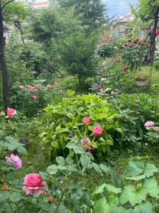 Giardino di Milorava's Guest House & Wine Cellar
