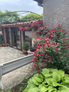 Giardino di Milorava's Guest House & Wine Cellar