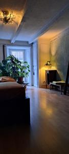 uma sala de estar com vasos de plantas e um sofá em La Vie Eau Naturelle em Sembrancher