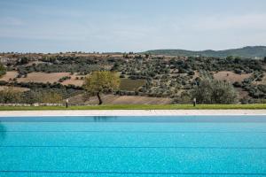 a blue swimming pool with a view of a field at Locanda Gulfi in Chiaramonte Gulfi