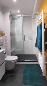 a bathroom with a shower and a toilet and a green rug at La Ciotat, appartement rénové en bord de mer in La Ciotat