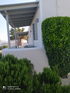 Gallery image of Chaido Studios in Plaka Milou +107 photos