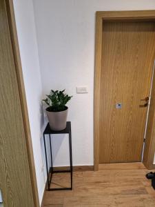 Fotografie z fotogalerie ubytování APARTMAN MAOR v destinaci Viskovo
