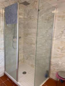 a shower with a glass door in a bathroom at Specious 2 x double bedroom flat in London E18 in London