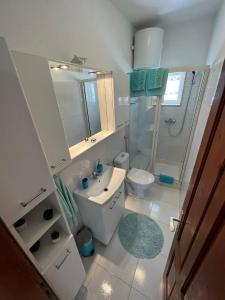a bathroom with a sink and a toilet and a shower at Apartment Merlin in Bol