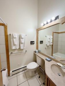 uma casa de banho com um WC, um lavatório e um espelho. em Columbine B Cabin Suite em Woodland Park