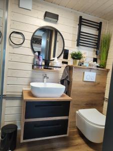 a bathroom with a sink and a mirror at Mariolas Tinyhouse in Markt Nordheim