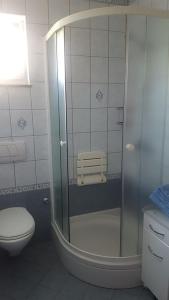 a bathroom with a toilet and a glass shower at Apartment Cizici ,Best Place 100m zum Meer, Soline bay, insel-krk,de in Čižići