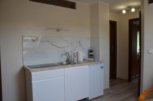 uma cozinha com um lavatório e uma bancada em Magurka em Rycerka Górna