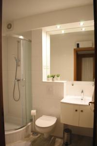 y baño con aseo, lavabo y ducha. en Apartment Aria Split, en Split