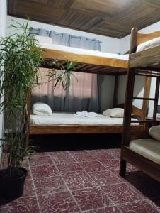 um quarto com 2 beliches e uma cadeira em Nature house em Monteverde