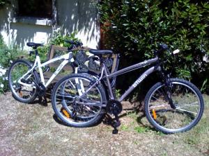 Trévou-TréguignecにあるMin Gwennの木の隣に2台の自転車が停まっている