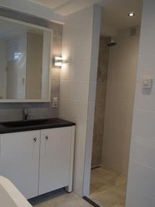 een badkamer met een wastafel en een spiegel bij Schaapskooi in Dwingeloo
