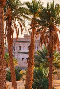 um grupo de palmeiras em frente a um edifício em Desert Villa Boutique Hotel Merzouga em Merzouga