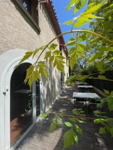Zahrada ubytování Hôtel Ulysse Montpellier Centre