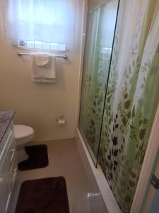 a bathroom with a shower curtain and a toilet at Stonebrook Villa in Falmouth