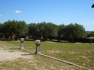 einen Pfad in einem Feld mit Bäumen im Hintergrund in der Unterkunft Mas Solés in Parlavà