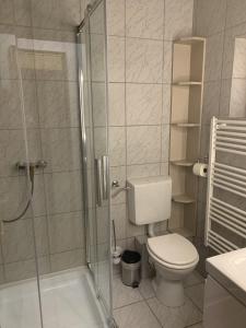W łazience znajduje się toaleta i przeszklony prysznic. w obiekcie See Haus - Podmaniczky Szállás, Bor, Balaton w Balatonföldvárze