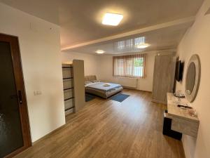 a large room with a bed and a mirror at Casa Eva in 2 Mai