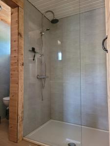 una doccia con porta in vetro in bagno di Rustig gelegen chalet Solvo met terras aan het water a Geel