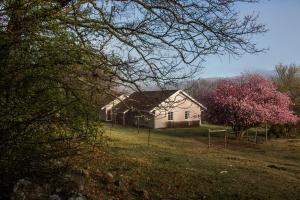 a white house in a field with a tree at Lowestoffe Country Lodge Rockford in Hogsback
