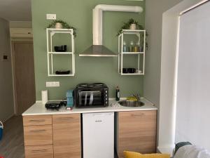 a kitchen with a counter with a microwave and a sink at Κέντρο πόλης Βασίλης 2 in Ioannina +8 photos
