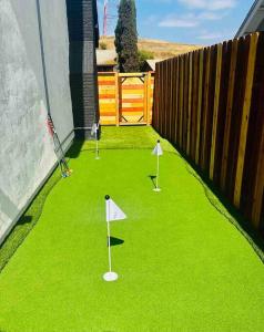 un patio con tres pelotas de golf en la hierba en Luxurious Home - Gameroom - Cowboy Pool en San Diego