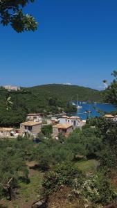 a small town with a harbor and a boat in the water at Edem Studios and Apartments in Syvota