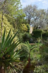 a garden with bushes and trees and a plant at La petite maison des artistes in Séguret