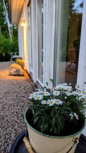 Gallery image of Skreanäs - Falkenberg in Falkenberg