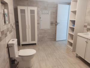 a white bathroom with a toilet and a sink at Charmant studio à Castillon du Gard, à deux pas du Pont-du-Gard in Castillon-du-Gard