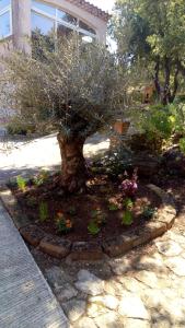 a tree in the middle of a garden with flowers at Charmant studio à Castillon du Gard, à deux pas du Pont-du-Gard in Castillon-du-Gard +2 photos