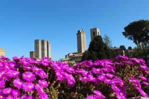 a row of colorful flowers in front of a tall building at Locanda La Mandragola in San Gimignano