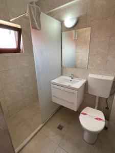 a bathroom with a white toilet and a sink at Hotel Tata Si Fii in Bechet +20 photos