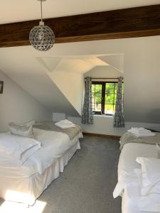 two beds in a room with a window at Ivy Cottage in Launceston